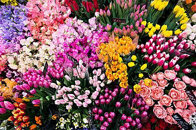 《哆啦A梦》特别企划“胖虎的个人音乐会” 12月31日播出