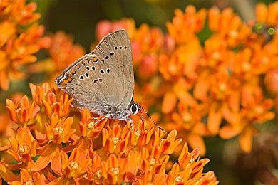 《轩辕剑7》Switch版中文预告 5月30日发售